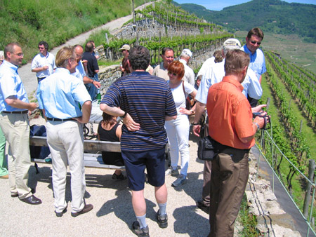 wachau_0015