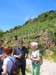 wachau_0024